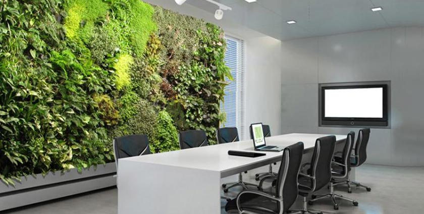 Use the green wall of the office